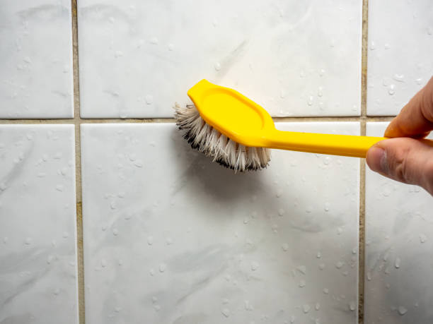 Best Toxic Mold Removal  in Hidden Hills, CA