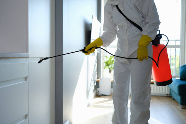 Best Professional Mold Removal  in Hidden Hills, CA