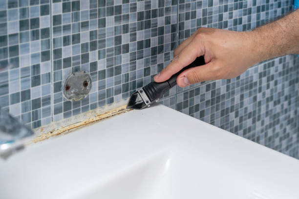 Best Mold Remediation  in Hidden Hills, CA