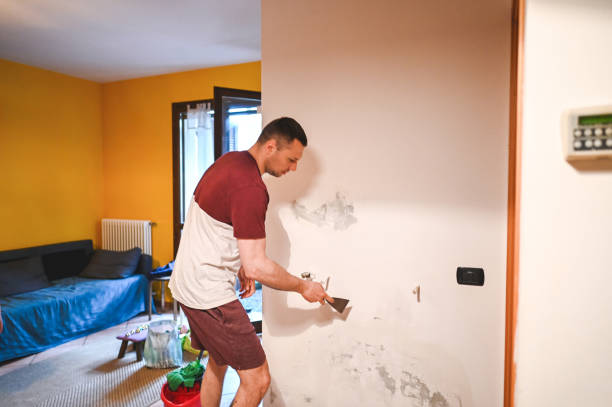 Best Certified Mold Removal  in Hidden Hills, CA